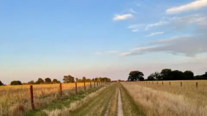 A narrow footpath through open countryside in soft light, with fields stretching towards the horizon.